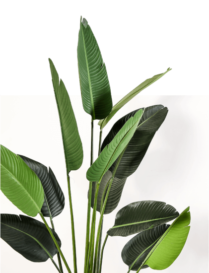 innovative-portfolios_delivering-growth-to-investors-seeking-higher-yield innovative-portfolios_delivering-growth-to-investors-seeking-higher-yield