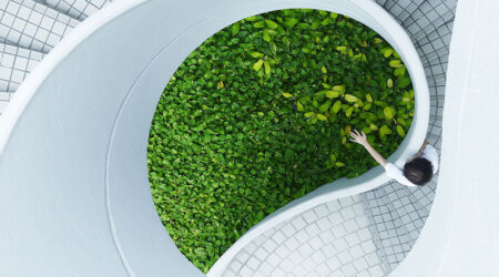 birds-eye view of a white spiral staircase leading down with a leafy hedge in the middle and someone reaching out from the stairs to touch the leaves, innovative portfolios perspectives