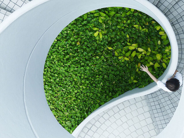 birds-eye view of a white spiral staircase leading down with a leafy hedge in the middle and someone reaching out from the stairs to touch the leaves, innovative portfolios perspectives