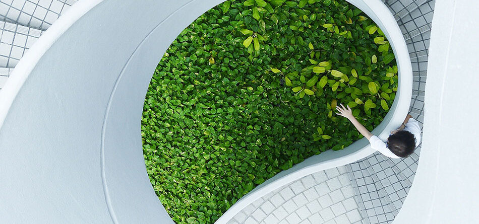 birds-eye view of a white spiral staircase leading down with a leafy hedge in the middle and someone reaching out from the stairs to touch the leaves, innovative portfolios perspectives