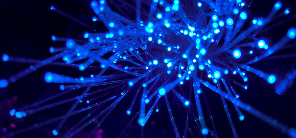 close up of blue strands of lights on black background, innovative portfolios perspectives